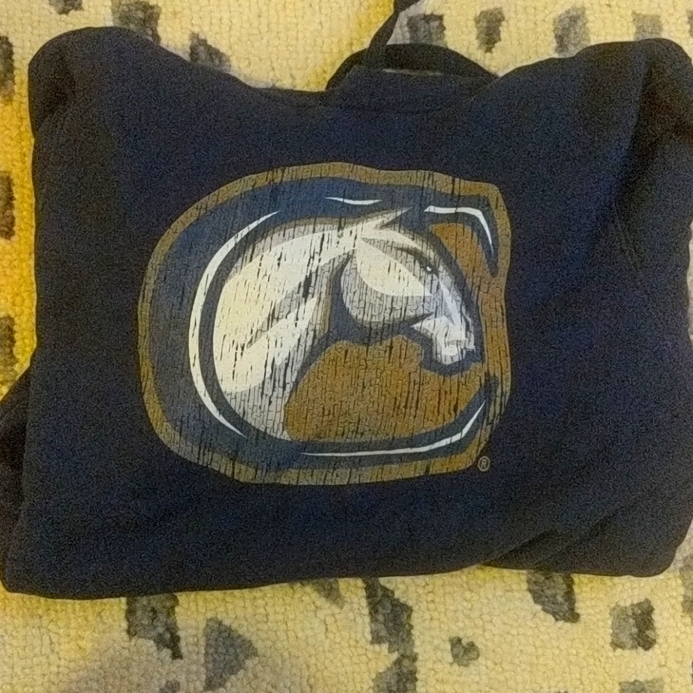 UC Davis Hoodie
